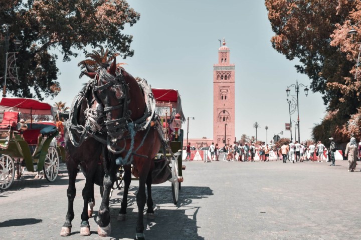 4 days tour from marrakech to fes via merzouga desert sahara