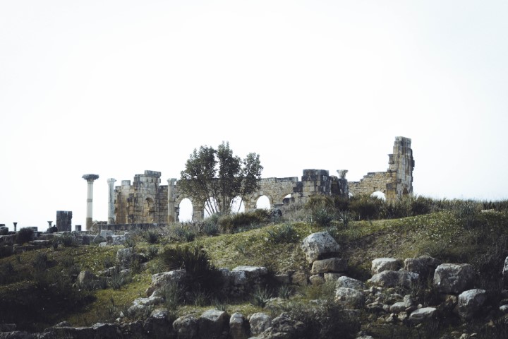 volubilis