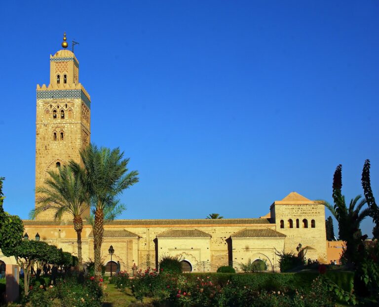 explore marrakech and other city with tours from marrakech