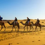 morocco tours