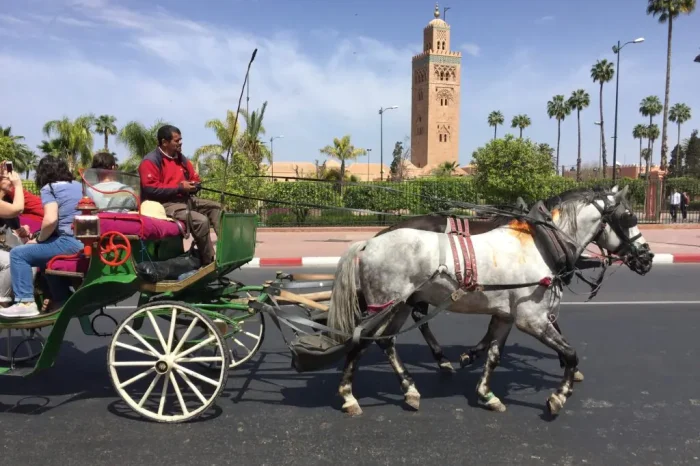 3 Days Morocco tour from Marrakech to Fes