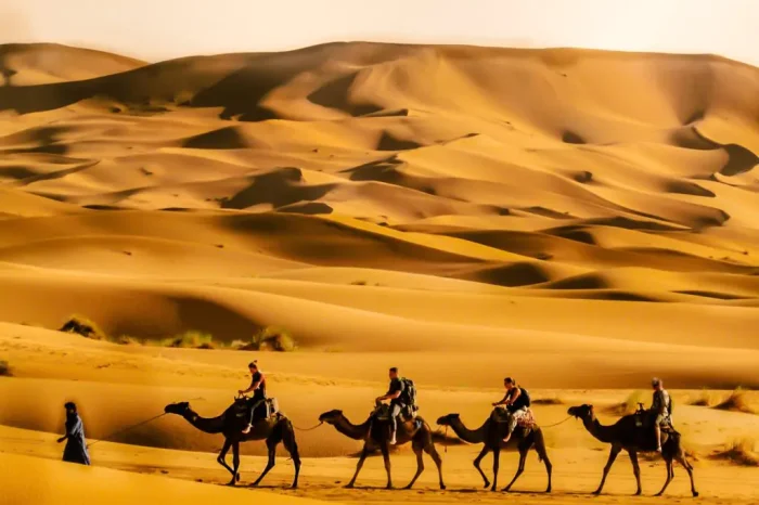 Marrakech to Merzouga desert tour 4 days