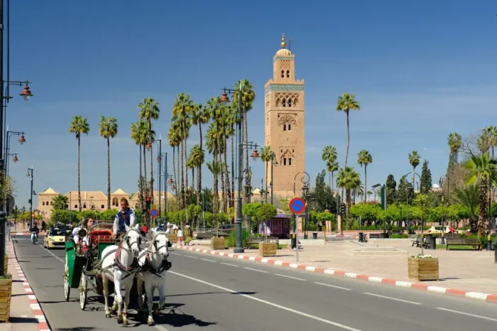 9 days Morocco desert tour from Casablanca to Marrakech