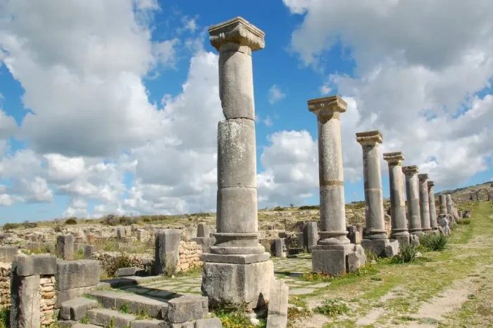 1 day excursion from Fes to Volubilis